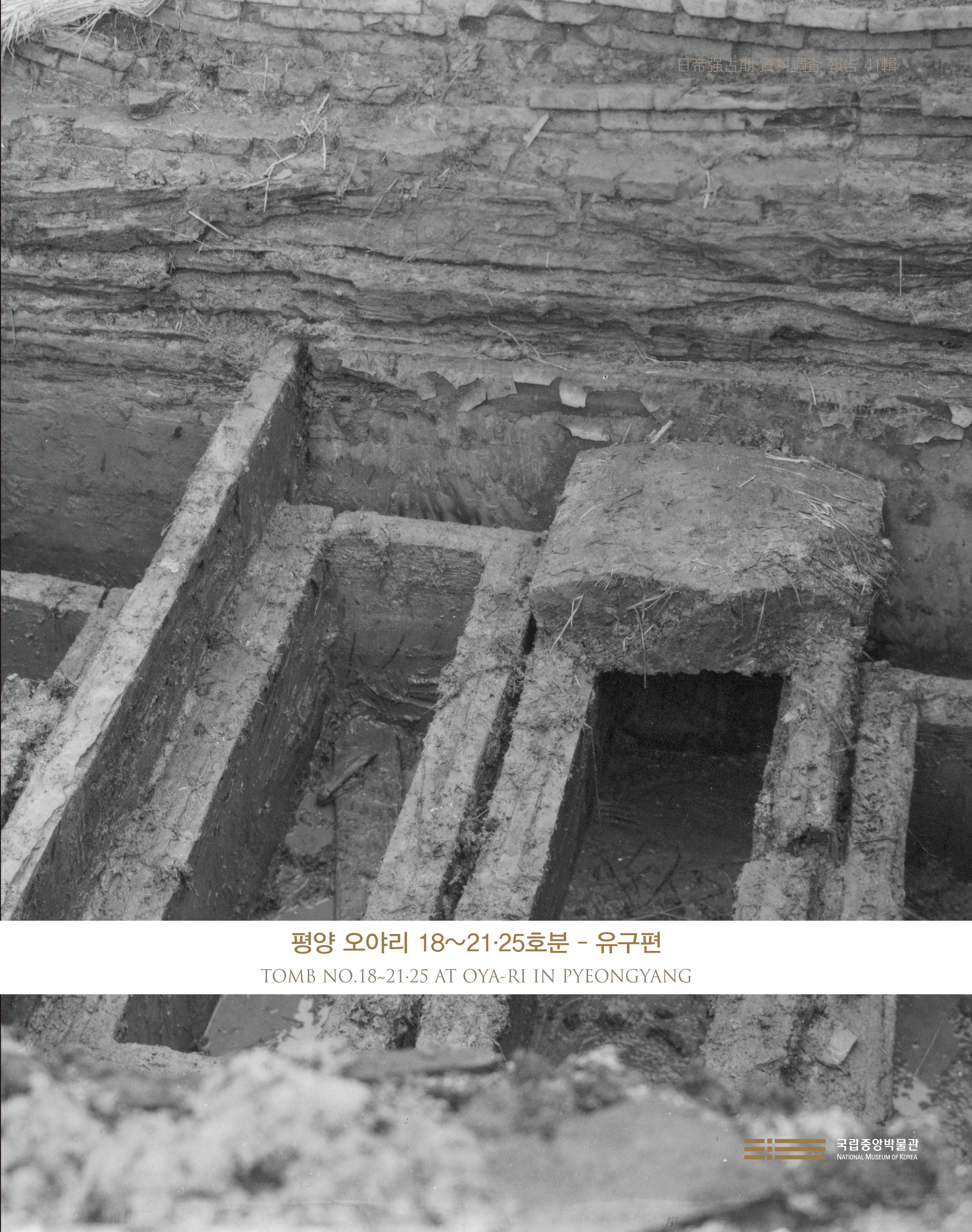 41집 평양 오야리 1821 25호분유구편 표지 이미지