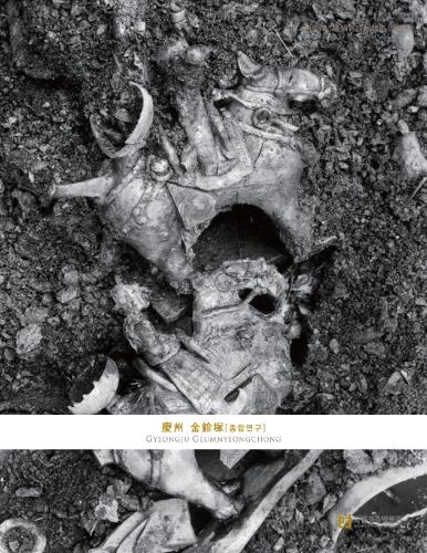<53집> 경주 금령총[종합연구] 대표사진