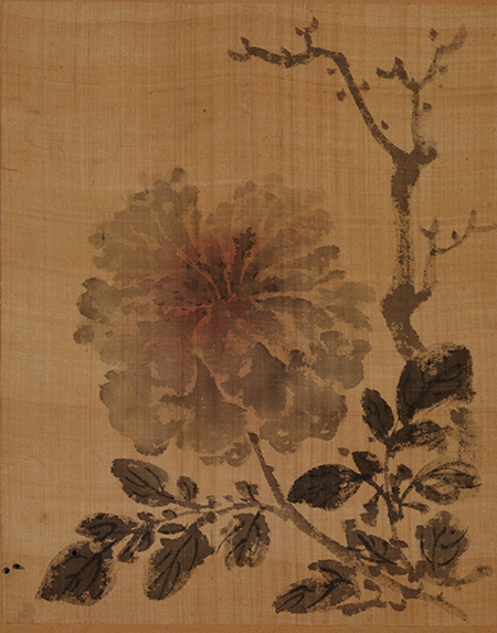 <모란>, 《표암첩豹菴帖》, 강세황(姜世晃, 1713~1781), 조선 18세기, 비단에 담채, 28.5×22.3 cm, 덕수3104