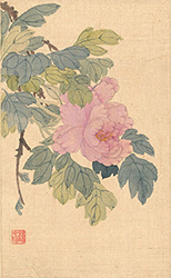 신명연, <모란도>, 조선 19세기,</br> 비단에 엷은 색, 30.5×19.0cm, 덕1101 