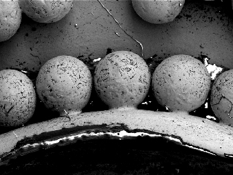  SEM image showing branch-like cracks on the surface of the granules.