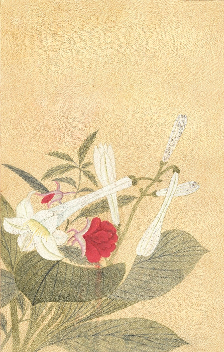 화조화첩 이미지 2 보기