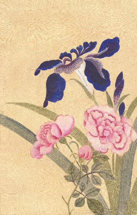 화조화첩 이미지 3 보기