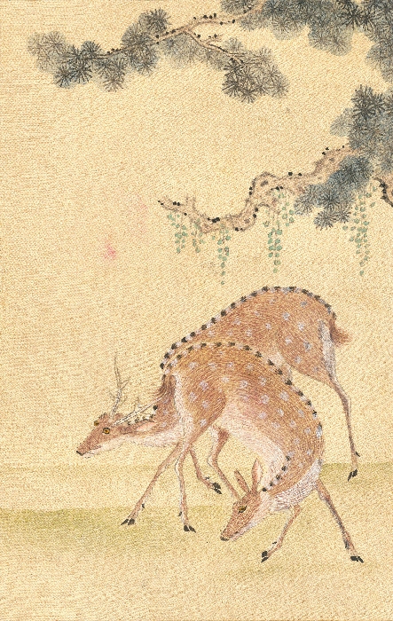 화조화첩 이미지 11 보기