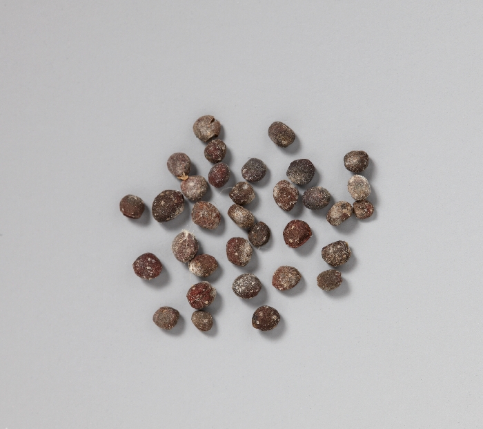 목조관음보살좌상 이미지 8 보기