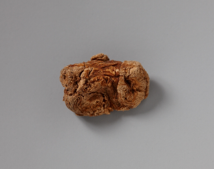 목조관음보살좌상 이미지 18 보기