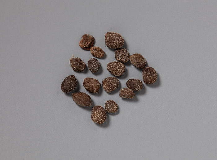 목조관음보살좌상 이미지 23 보기