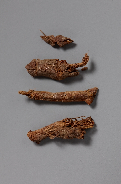 목조관음보살좌상 이미지 24 보기