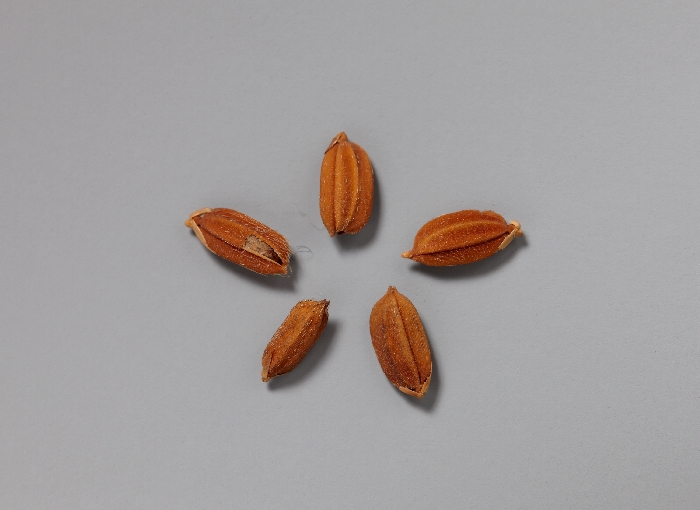 목조관음보살좌상 이미지 29 보기