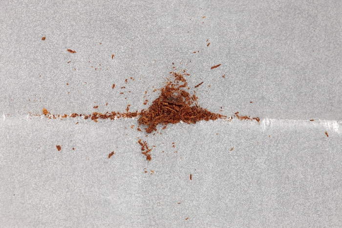 목조관음보살좌상 이미지 33 보기