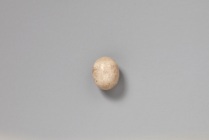 목조관음보살좌상 이미지 40 보기