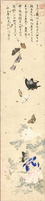 꽃과 나비 이미지 13 보기