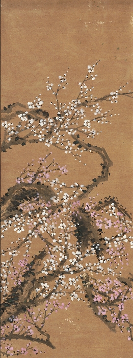 붉은 매화와 흰 매화 이미지 15 보기