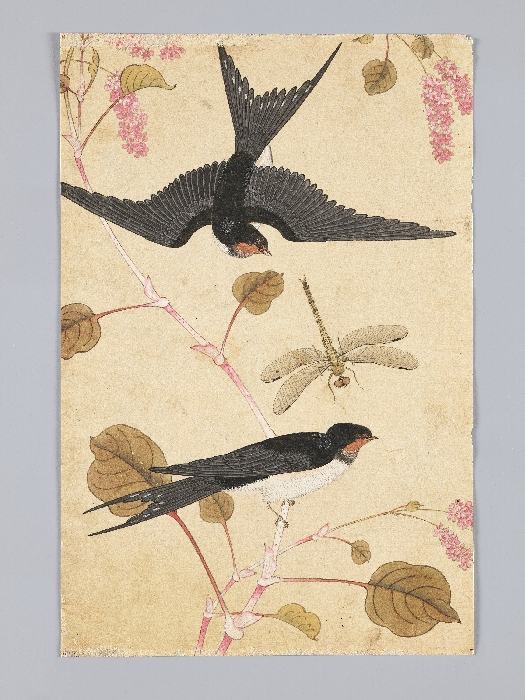 꽃,새,곤충,물고기 그림 이미지 8 보기