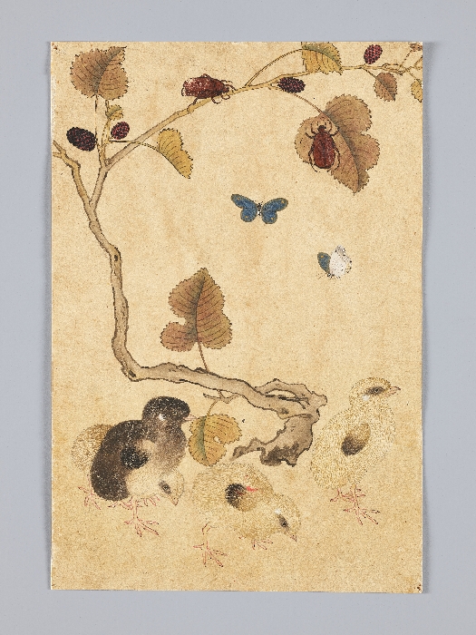 꽃,새,곤충,물고기 그림 이미지 11 보기