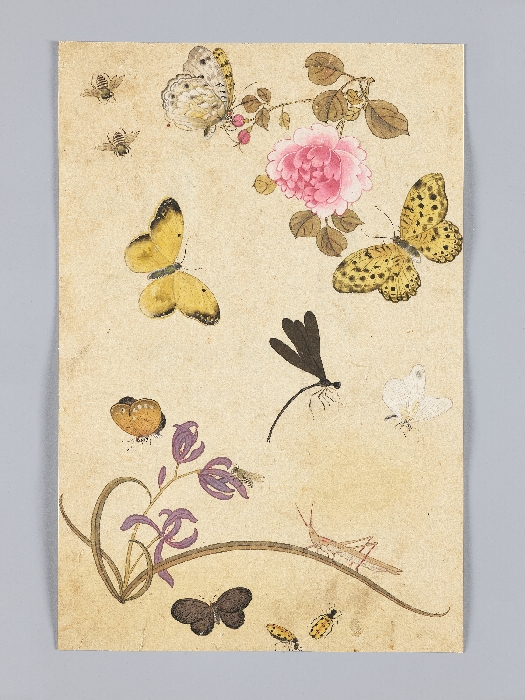 꽃,새,곤충,물고기 그림 이미지 12 보기