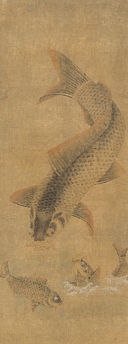 새와 짐승 이미지 11 보기