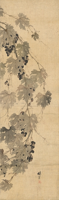 포도 이미지 9 보기