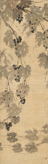 포도 이미지 10 보기