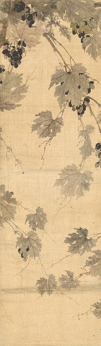 포도 이미지 11 보기