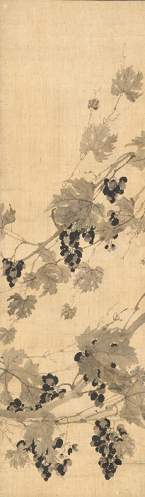 포도 이미지 13 보기