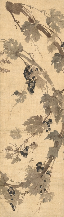 포도 이미지 15 보기