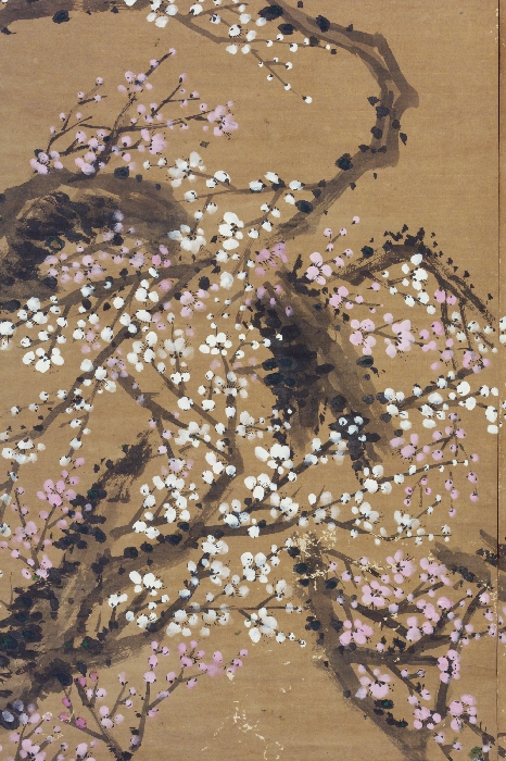 붉은 매화와 흰 매화 이미지 5 보기