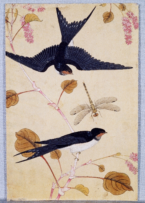 꽃,새,곤충,물고기 그림 이미지 2 보기