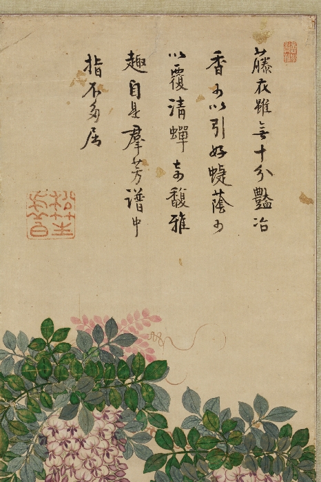 꽃과 나비 이미지 3 보기