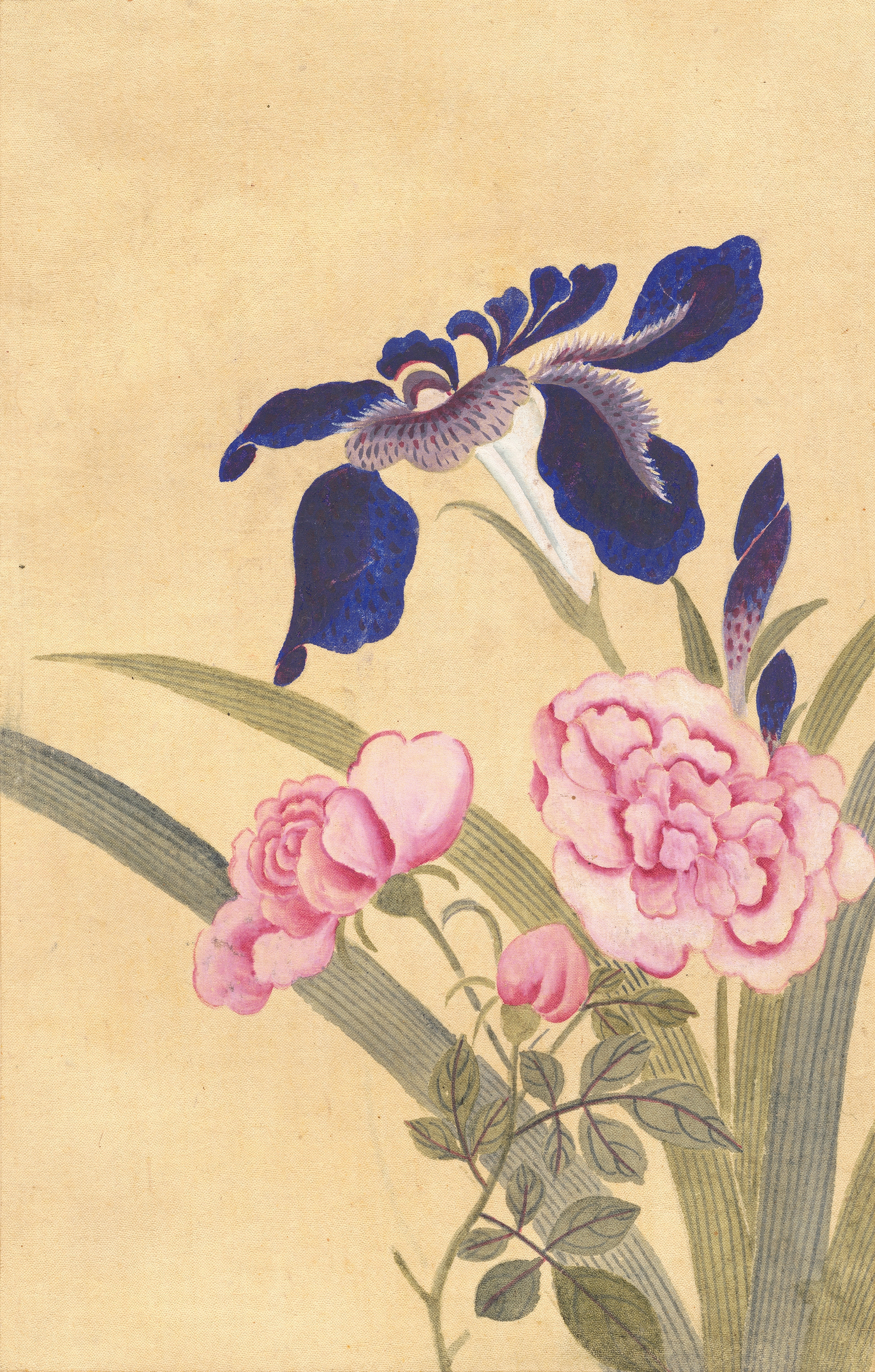 화조화첩 이미지 3