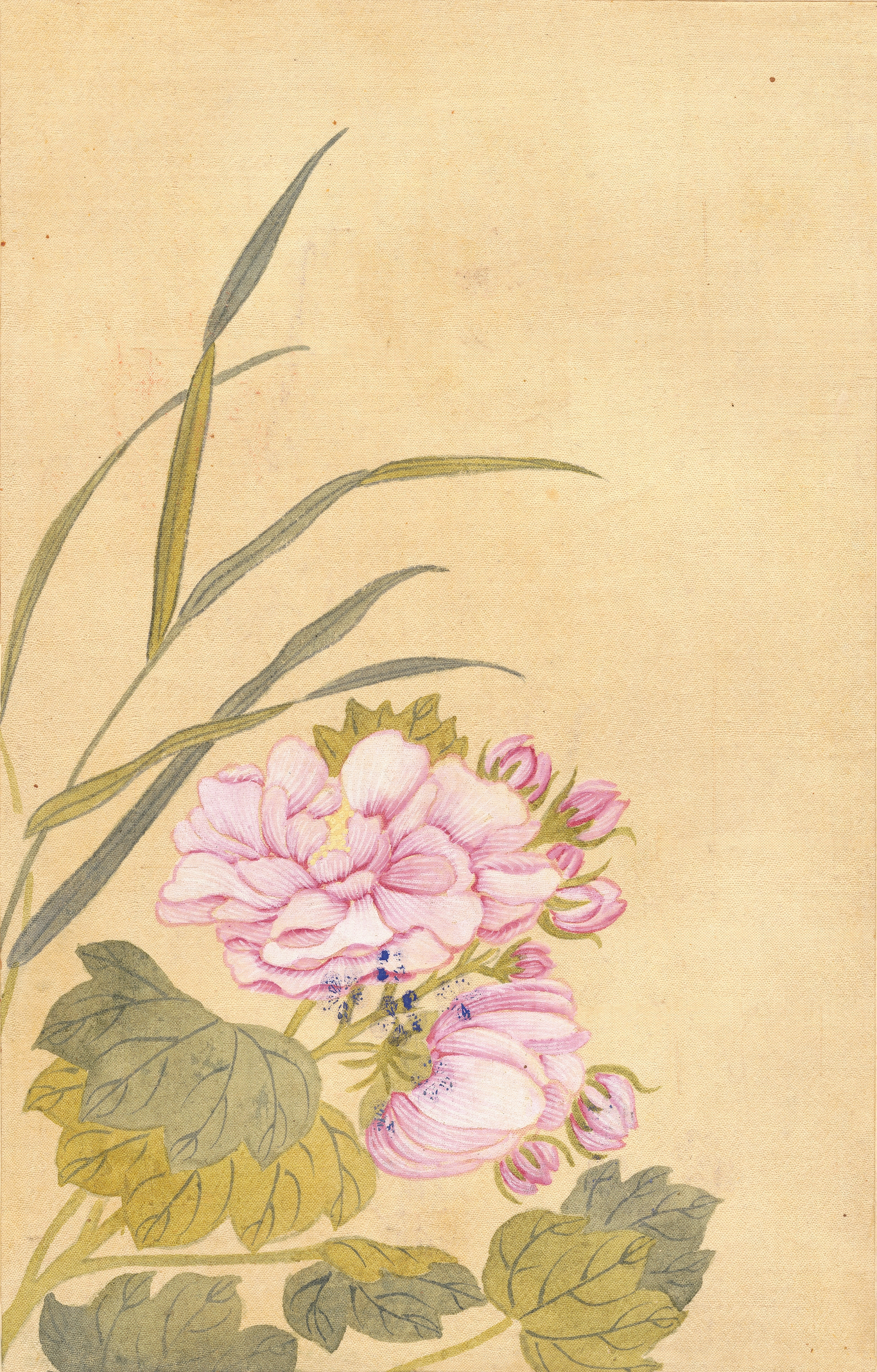 화조화첩 이미지 8