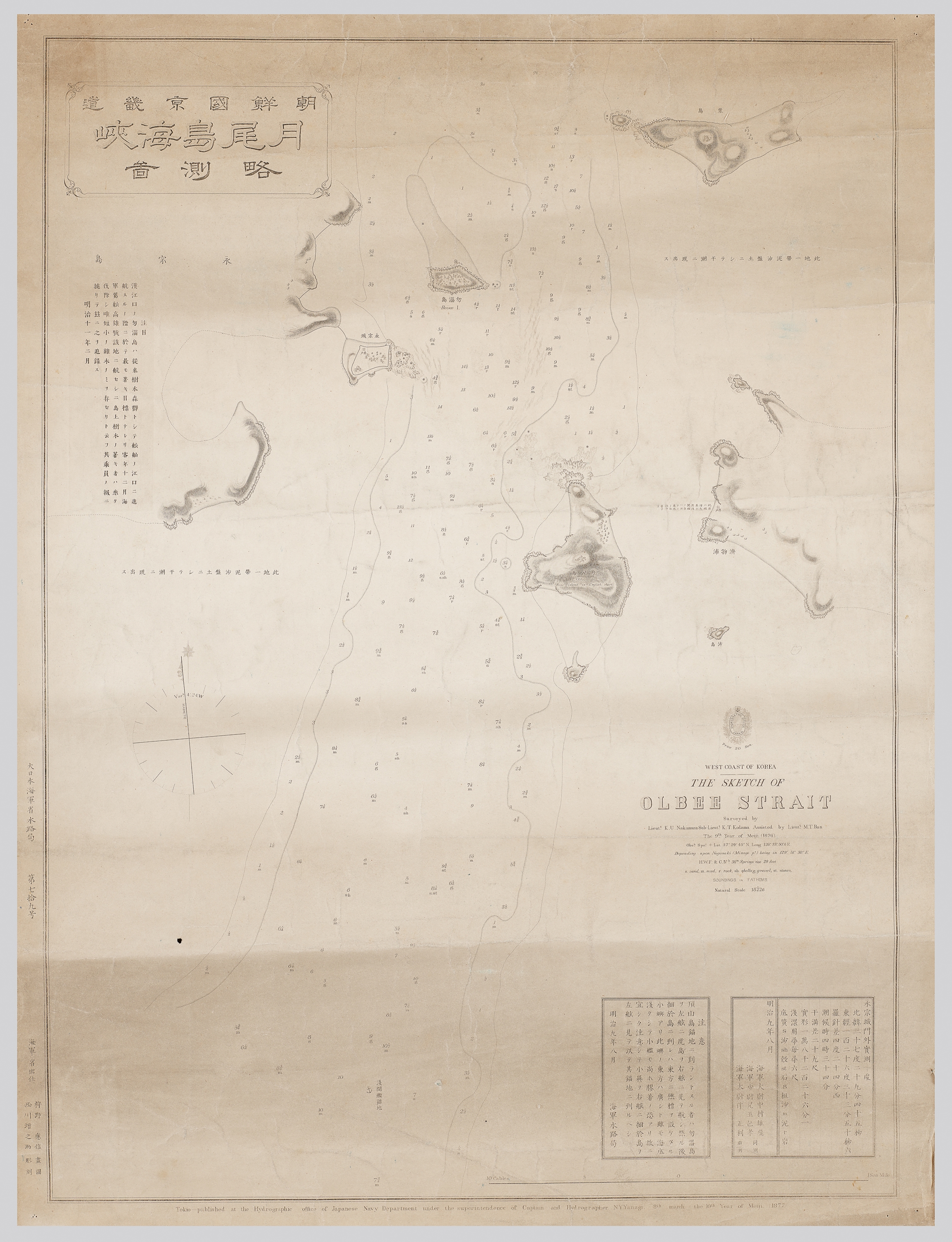 海岸海圖 이미지 5
