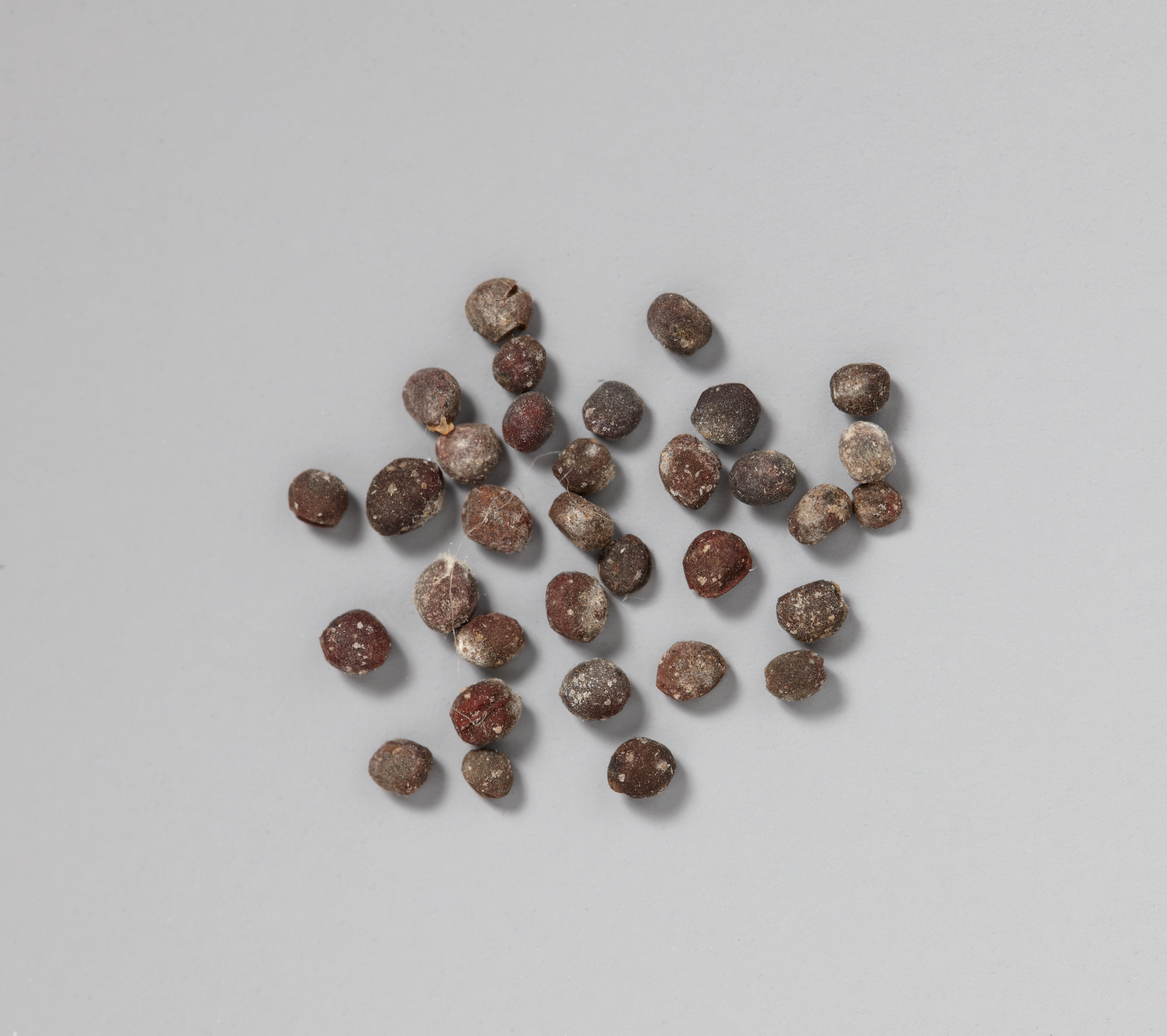 목조관음보살좌상 이미지 8