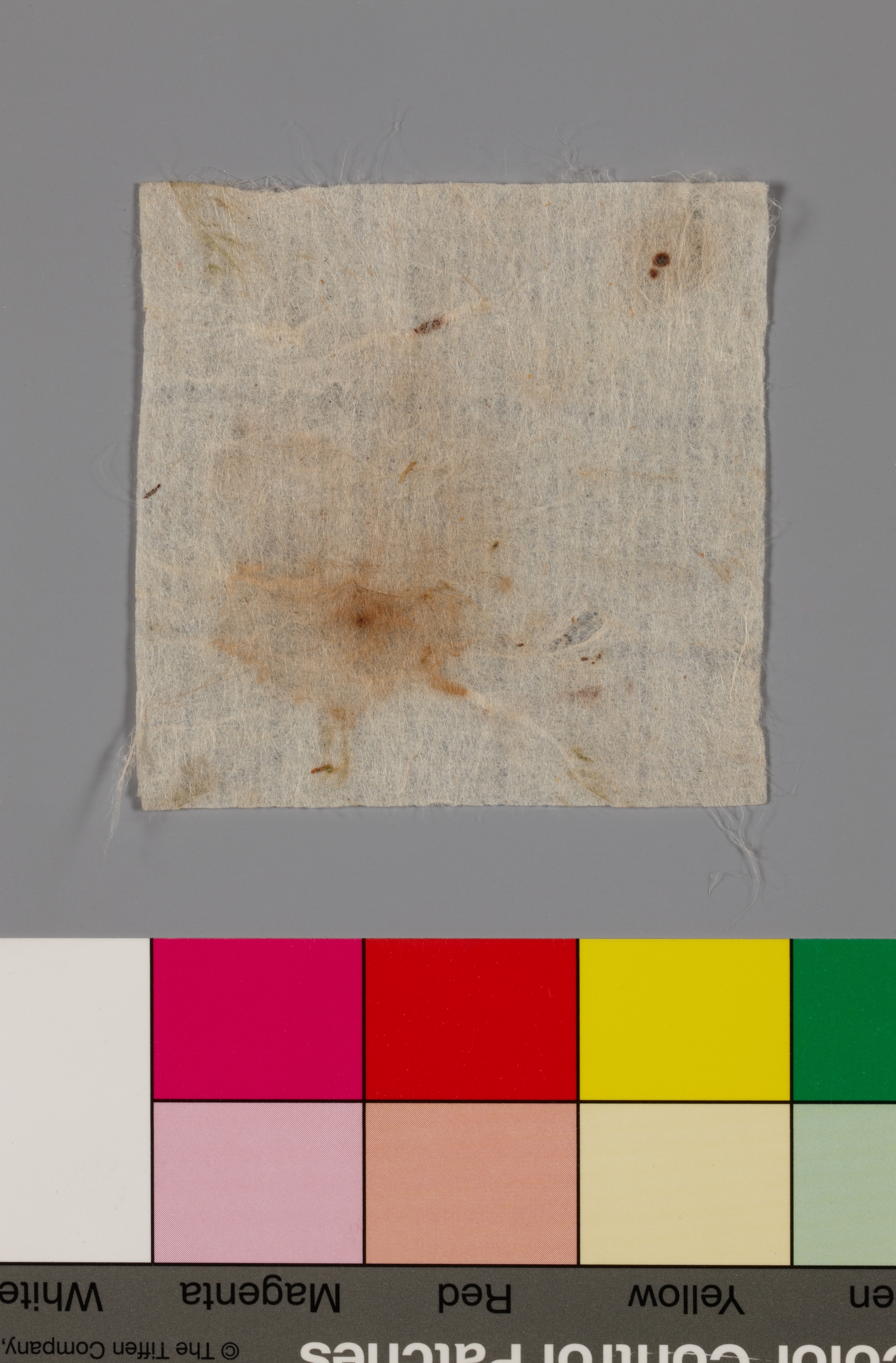 목조관음보살좌상 이미지 15