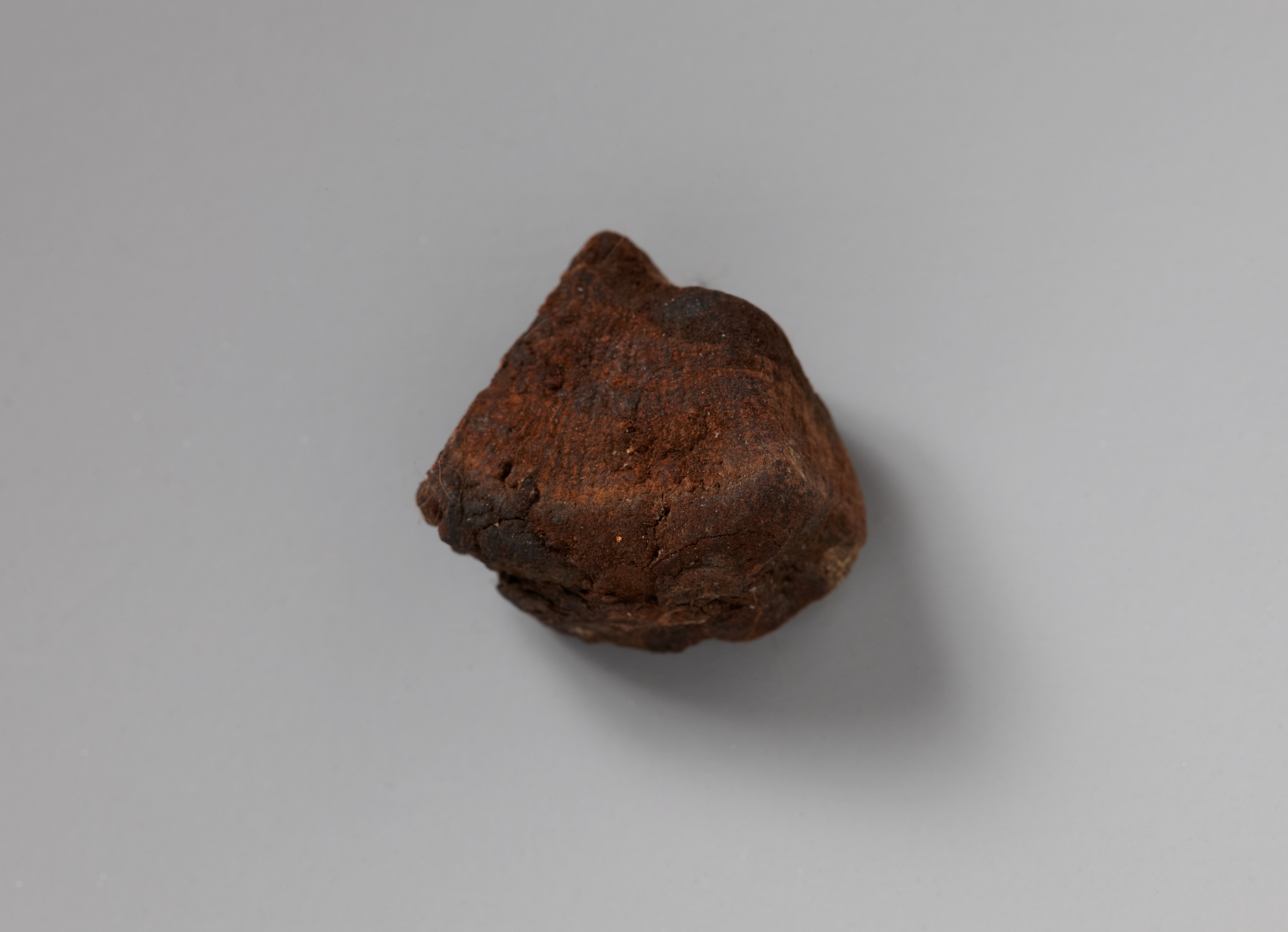 목조관음보살좌상 이미지 16