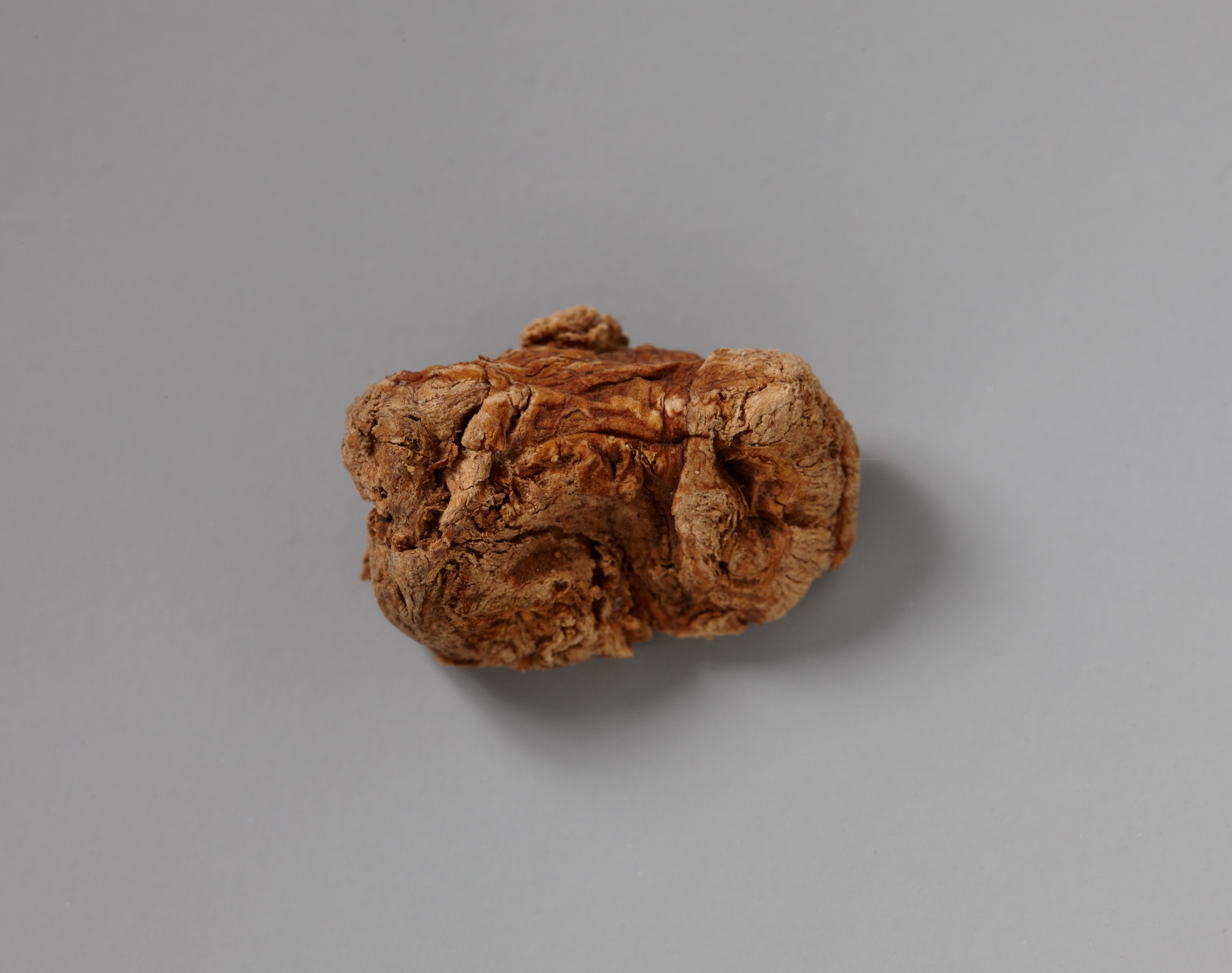 목조관음보살좌상 이미지 18