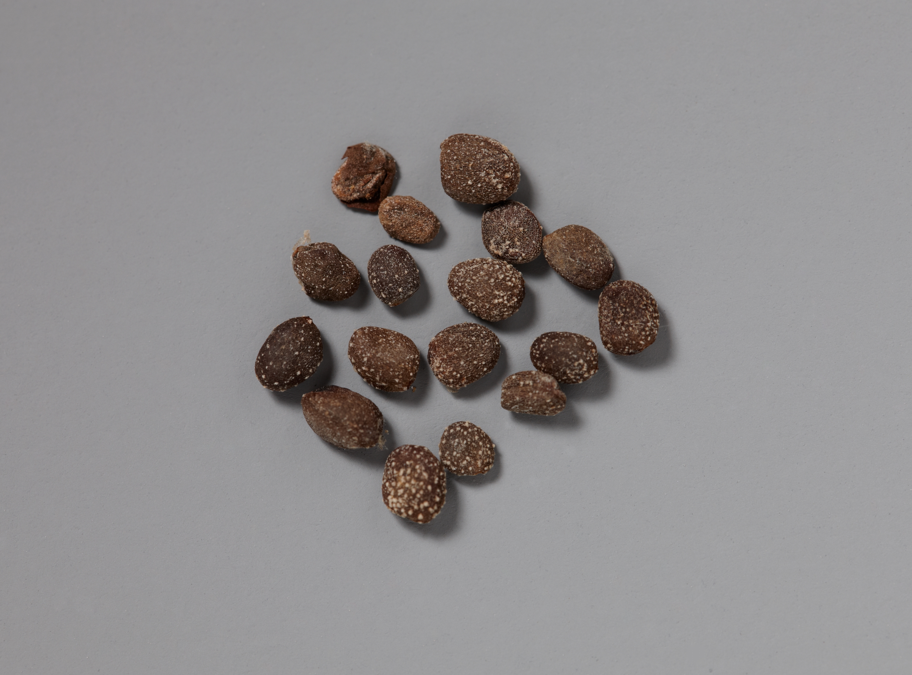 목조관음보살좌상 이미지 23