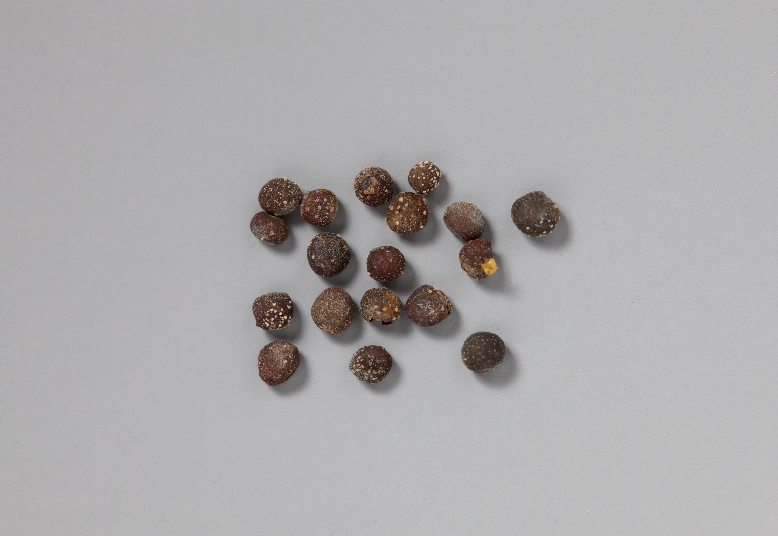 목조관음보살좌상 이미지 32