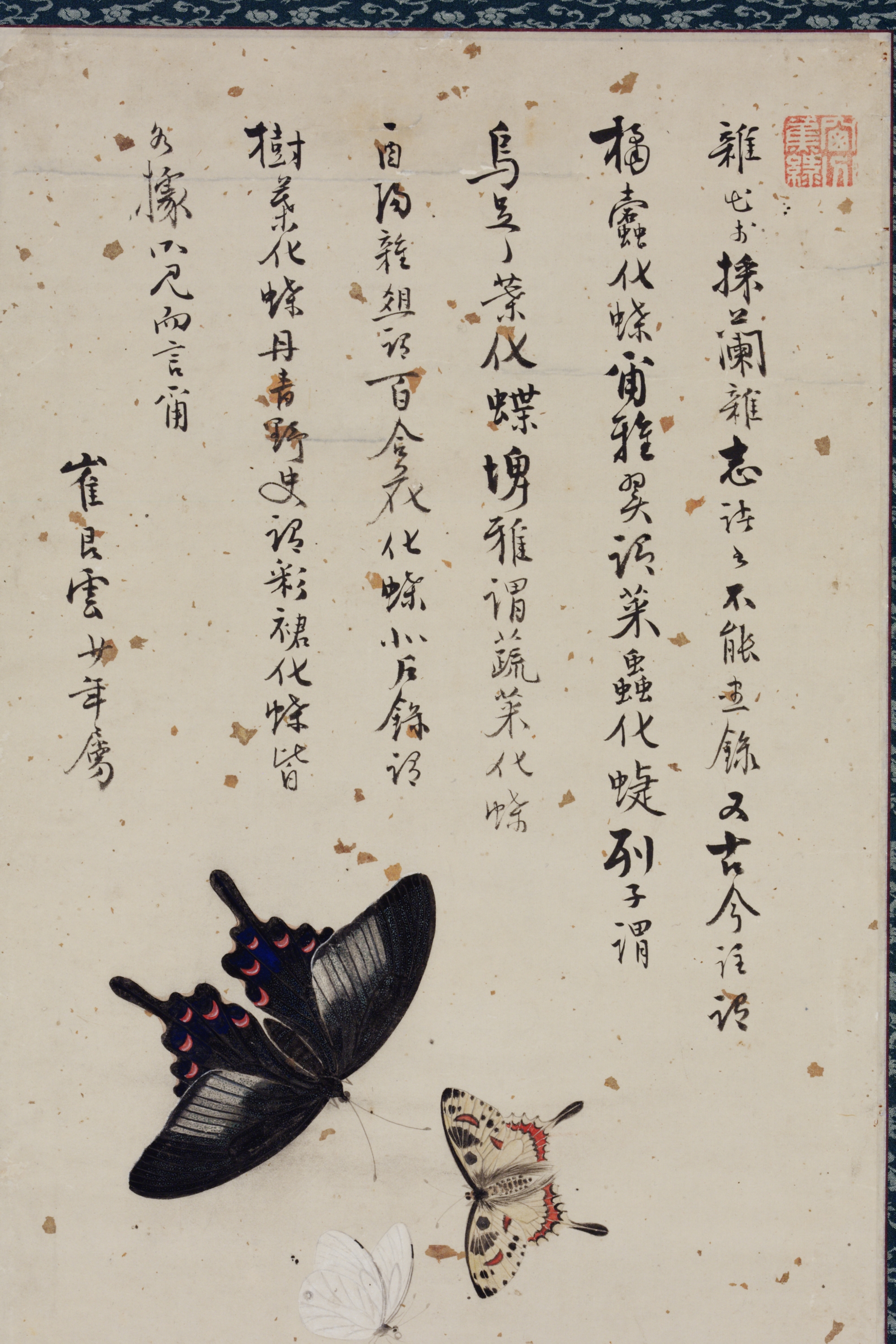 꽃과 나비 이미지 1