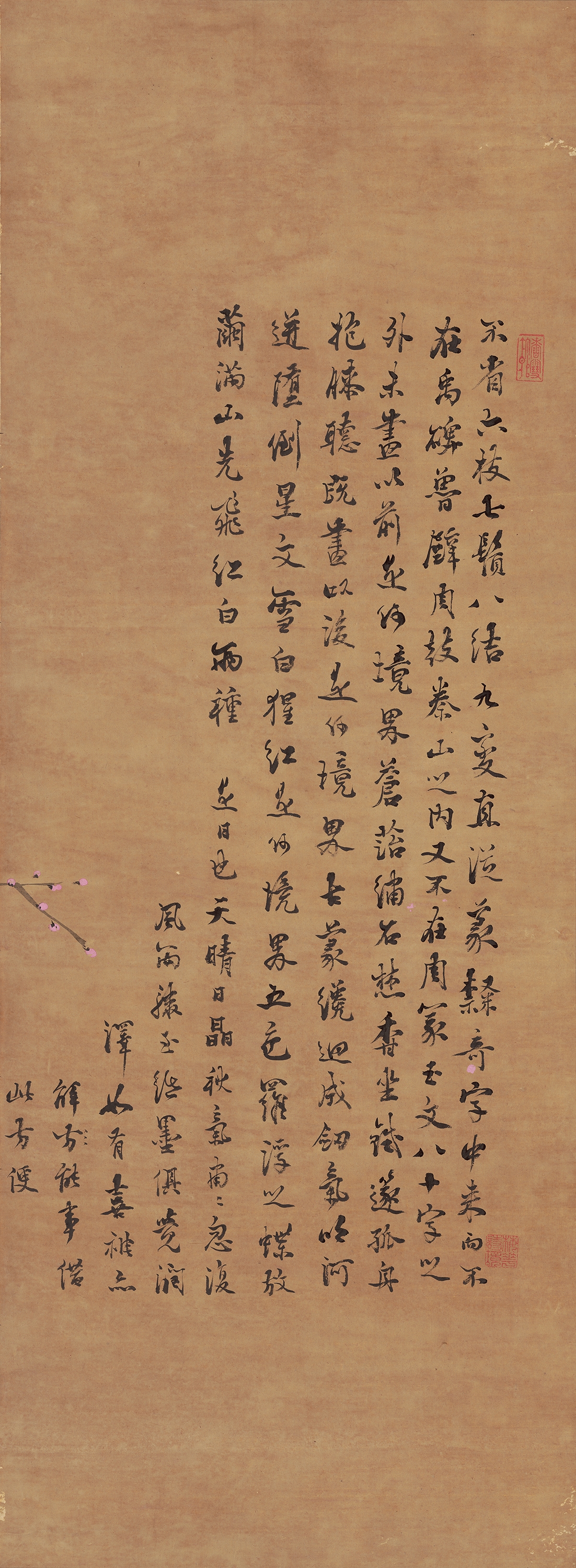 붉은 매화와 흰 매화 이미지 11