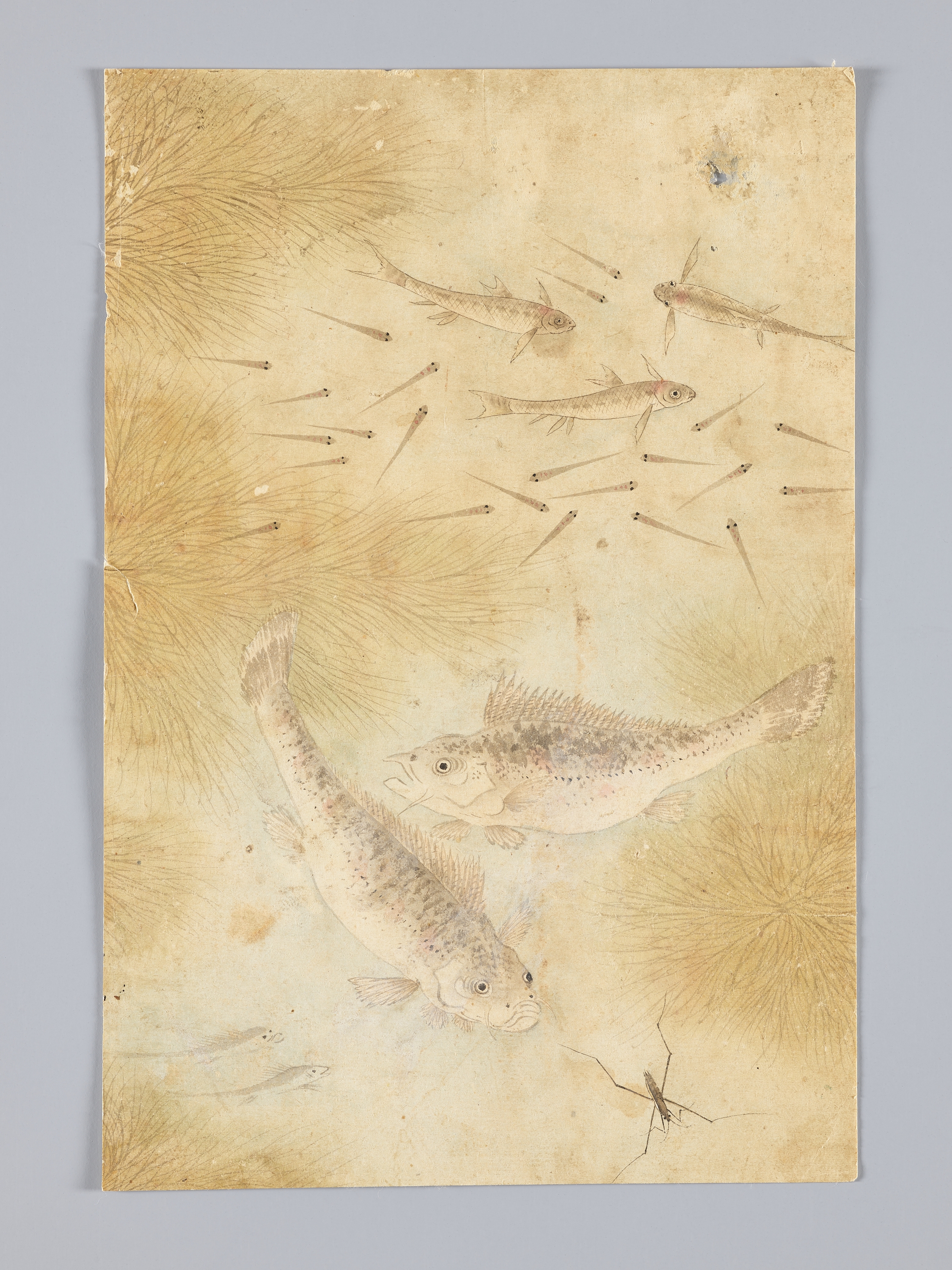 꽃,새,곤충,물고기 그림 이미지 1