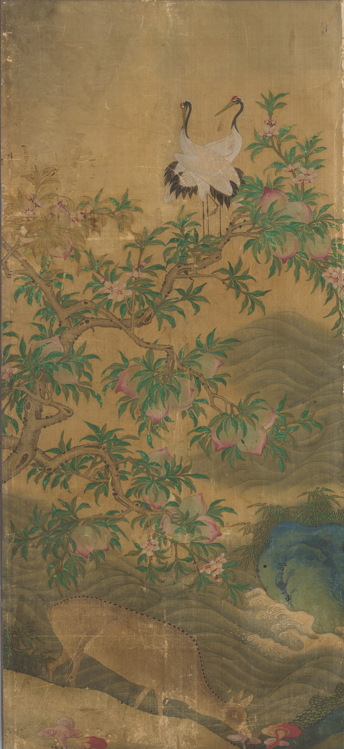 신선 이미지 3