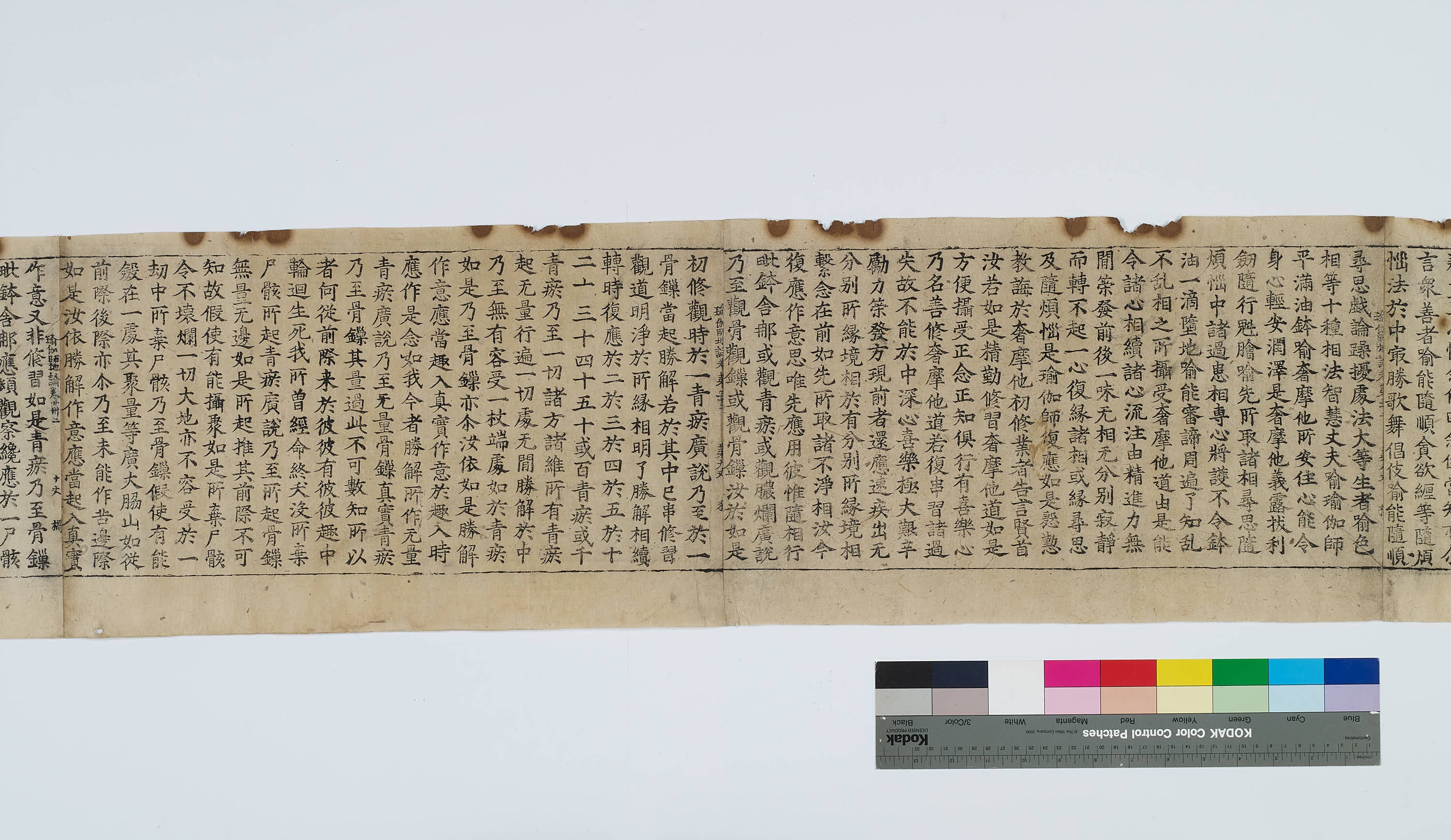 초조본 유가사지론 권제32 이미지 20