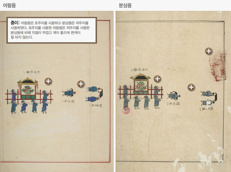 어람용 분상용 비교열람