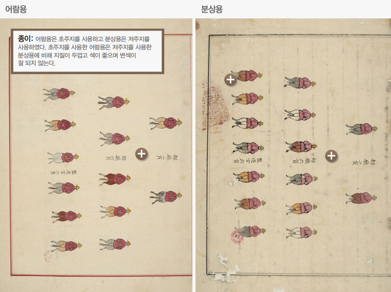 어람용 분상용 비교열람