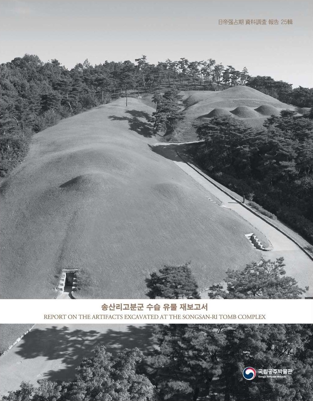 제25집 송산리고분군 표지 1 이미지