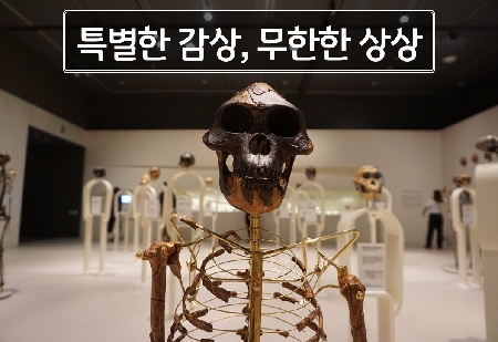 [온라인 여름방학 교육] 특별한 감상, 무한한 상상 - 다윈, 루시를 만나다 대표이미지