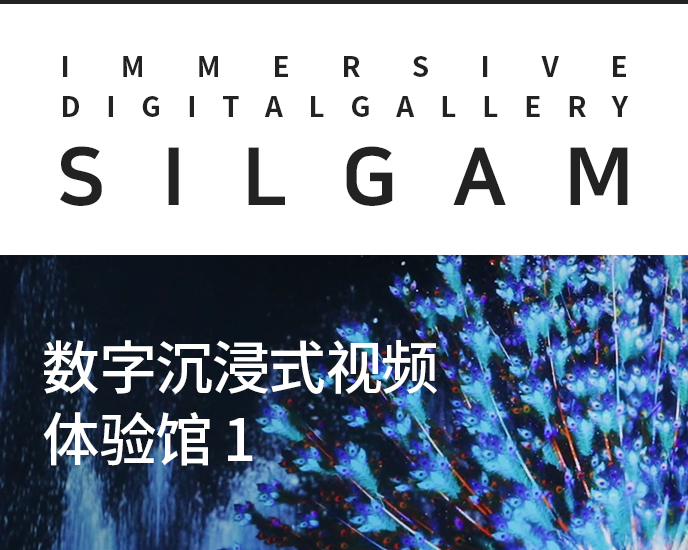 Immersive Digital Gallery 1