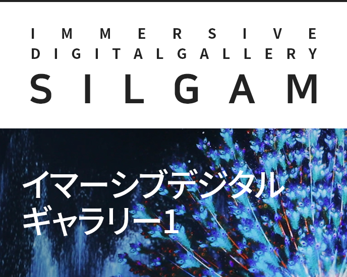 Immersive Digital Gallery 1